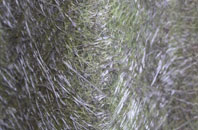 Clatworthy fibreglass roof work